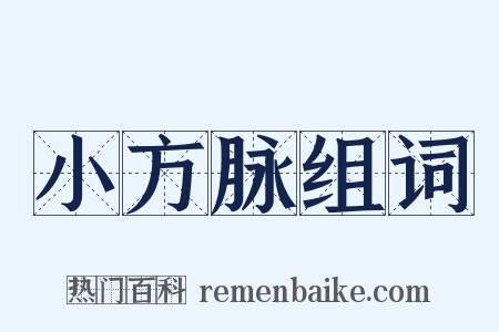 小方脉组词是什么意思的图片